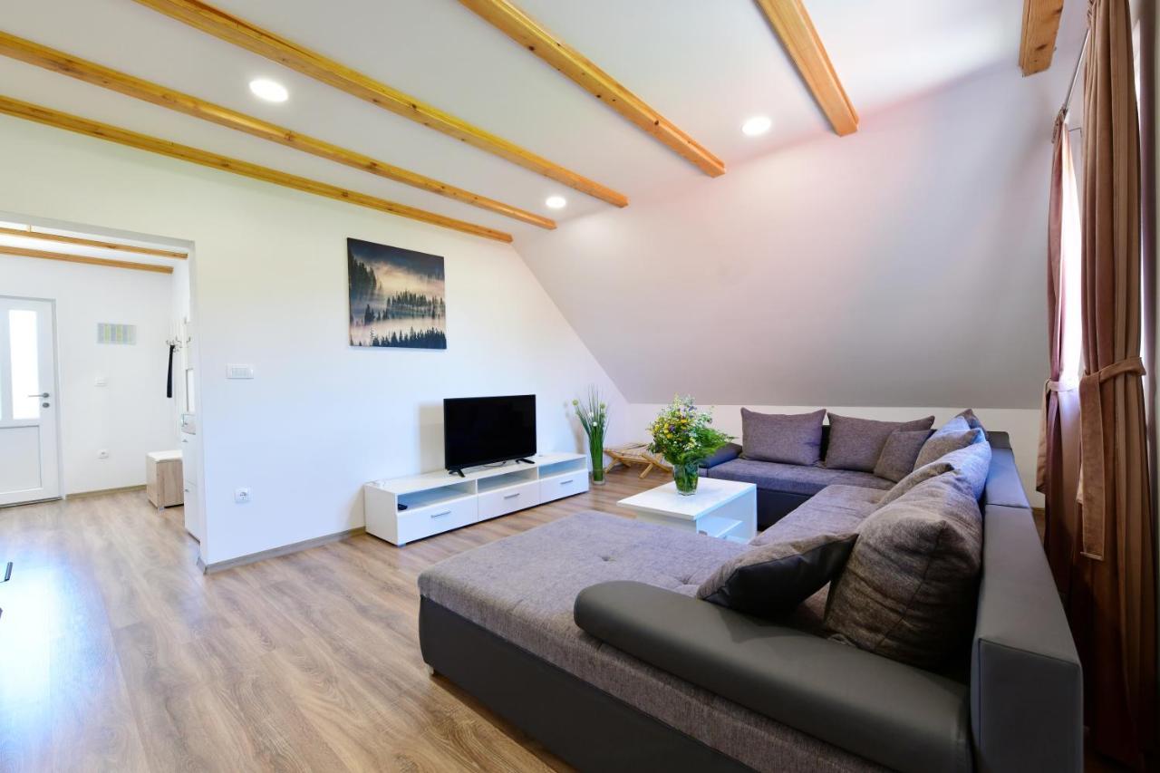Apartman Vito Saborsko 外观 照片