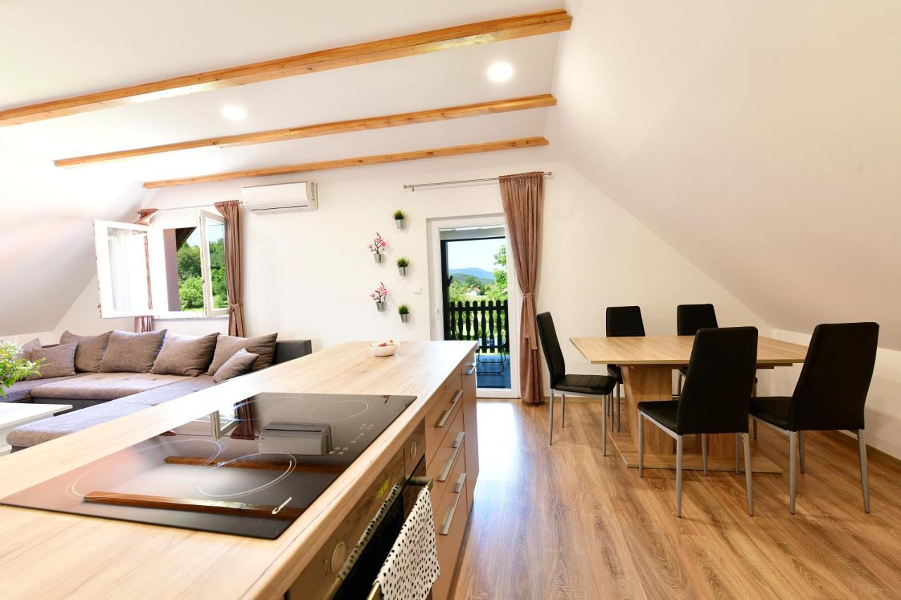 Apartman Vito Saborsko 外观 照片