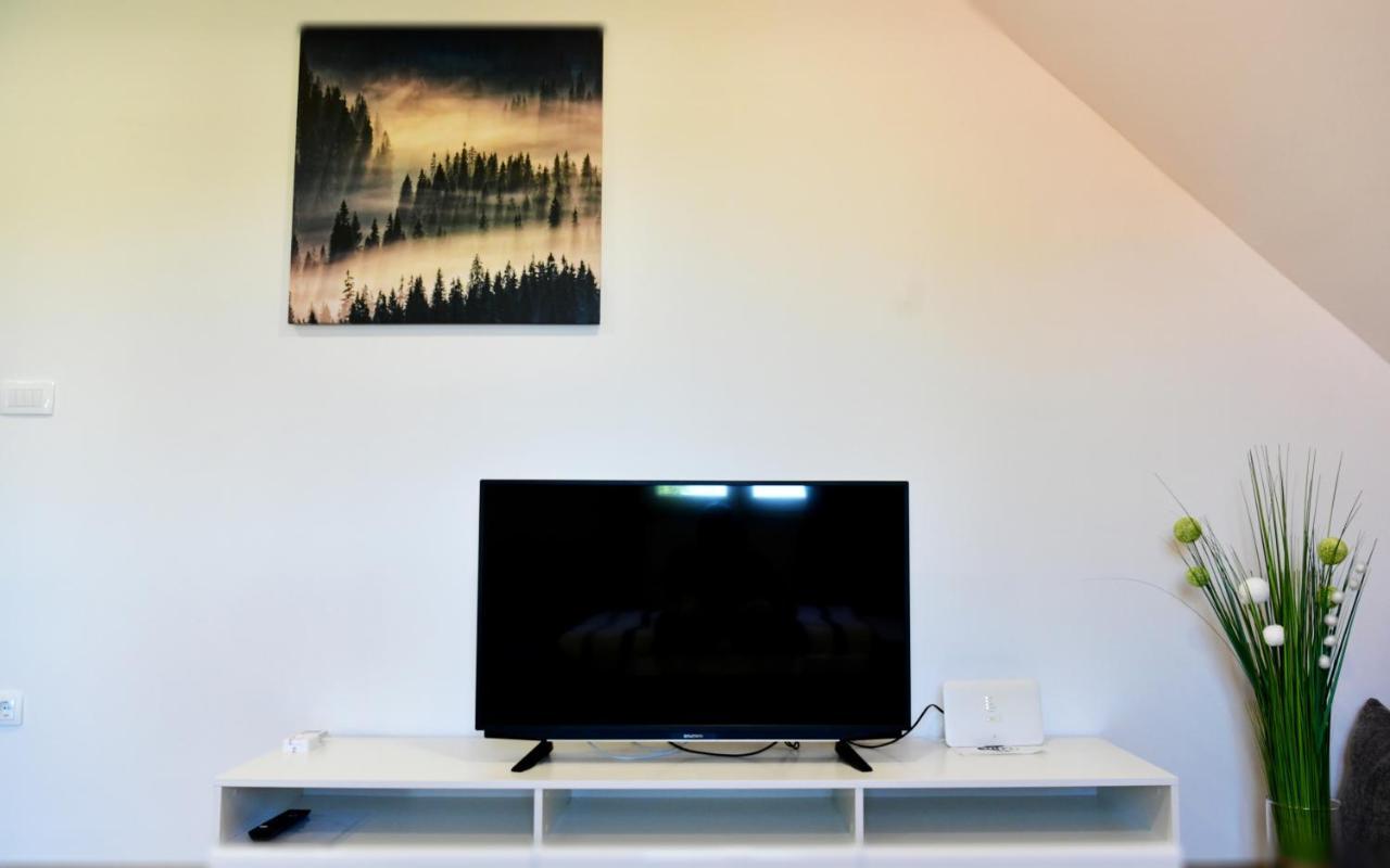 Apartman Vito Saborsko 外观 照片